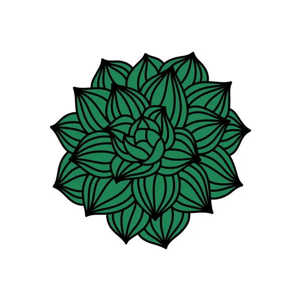 Icône Doodle Succulente Illustration Vectorielle — Image vectorielle