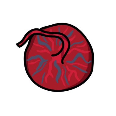 Plasenta doodle simgesi, vektör illüstrasyonu