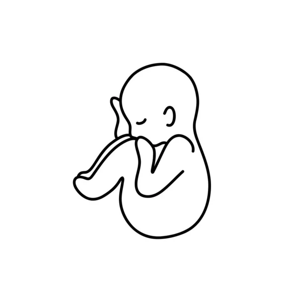 Fetus Doodle Icon Vector Illustration — Stock Vector