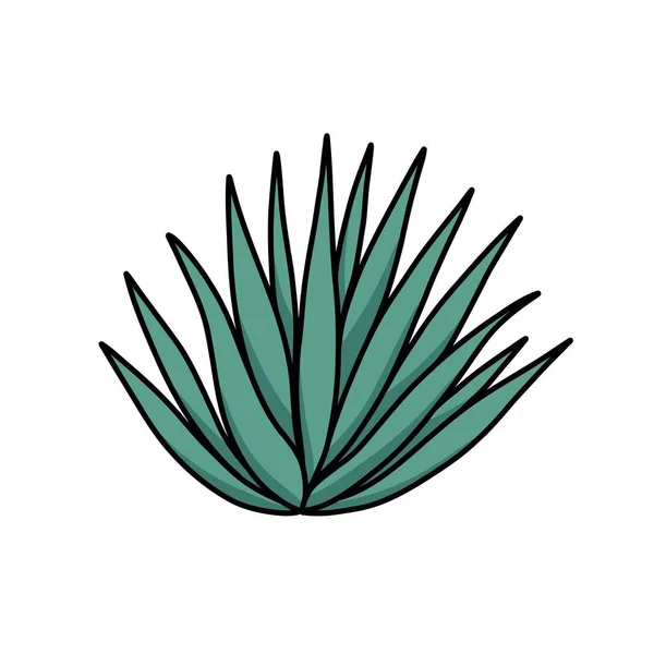 Icône Agave Doodle Illustration Vectorielle — Image vectorielle