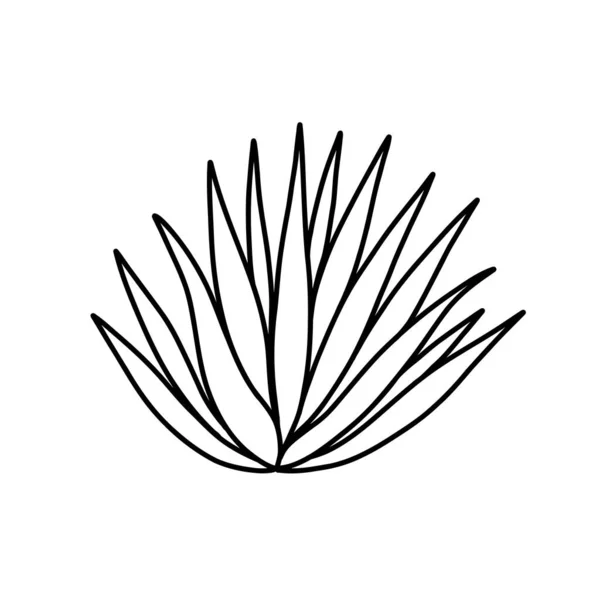 Значок Агави Каракулі Векторні Ілюстрації — стоковий вектор