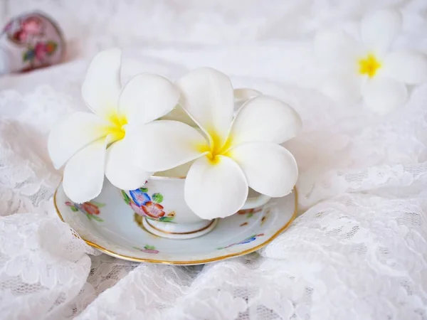 White Flower Cup Tea White Embroidered Cloth Still Life Pretty — Fotografia de Stock