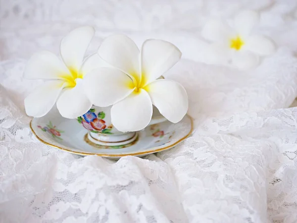White Flower Cup Tea White Embroidered Cloth Still Life Pretty — Stok fotoğraf