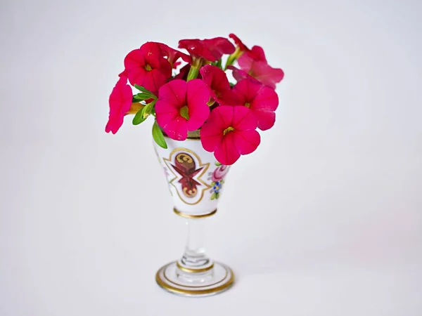 Red Flowers Antique Vase Isolated White Background Calibrachoa Petunia Million — Stock Fotó