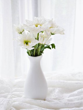 Nakışlı kumaş dantel vazoda beyaz kasımpatı çiçeği, pencere yumuşak arkaplan ihtişamlı chrysanthemum morifolium Daisy hardy düğün kavramı duvar kağıdı için romantik fotokopi alanı 