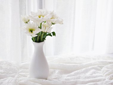 Nakışlı kumaş dantel vazoda beyaz kasımpatı çiçeği, pencere yumuşak arkaplan ihtişamlı chrysanthemum morifolium Daisy hardy düğün kavramı duvar kağıdı için romantik fotokopi alanı 