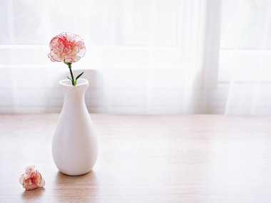 Masadaki pembe beyaz pastel Dianthus karanfil çiçekleri, karanfil pembesi, arka plan için hayat ya da metin için duvar kağıdı, anneler günü, kadınlar günü, yumuşak renkli romantik aşk tonu, kopyalama alanı 