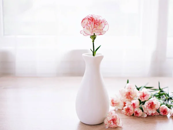 Rosa Vit Pastell Dianthus Nejlika Blommor Vas Bordet Kryddnejlika Rosa — Stockfoto