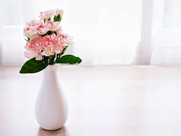 Rosa Vit Pastell Dianthus Nejlika Blommor Vas Bordet Kryddnejlika Rosa — Stockfoto