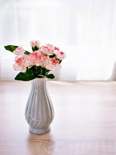 Rosa Vit Pastell Dianthus Nejlika Blommor Vas Bordet Kryddnejlika Rosa — Stockfoto