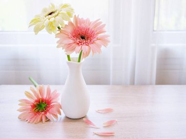 Masadaki vazoda güzel pembe Gerbera Jamesonii papatya çiçeği, Barberton Transvaal papatya kopya alanı ahşap masa masasının üzerinde seramik harflerle yazılmış çiçek arkaplan ışığı kutlaması için.