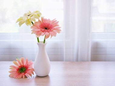 Masadaki vazoda güzel pembe Gerbera Jamesonii papatya çiçeği, Barberton Transvaal papatya kopya alanı ahşap masa masasının üzerinde seramik harflerle yazılmış çiçek arkaplan ışığı kutlaması için.