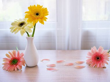 Masadaki vazoda güzel pembe Gerbera Jamesonii papatya çiçeği, Barberton Transvaal papatya kopya alanı ahşap masa masasının üzerinde seramik harflerle yazılmış çiçek arkaplan ışığı kutlaması için.