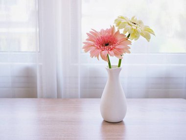 Masadaki vazoda güzel pembe Gerbera Jamesonii papatya çiçeği, Barberton Transvaal papatya kopya alanı ahşap masa masasının üzerinde seramik harflerle yazılmış çiçek arkaplan ışığı kutlaması için.