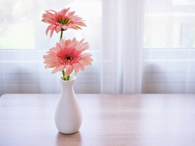 Masadaki vazoda güzel pembe Gerbera Jamesonii papatya çiçeği, Barberton Transvaal papatya kopya alanı ahşap masa masasının üzerinde seramik harflerle yazılmış çiçek arkaplan ışığı kutlaması için.