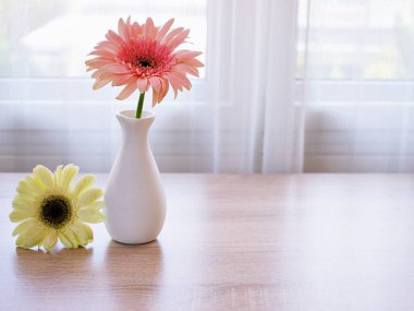 Masadaki vazoda güzel pembe Gerbera Jamesonii papatya çiçeği, Barberton Transvaal papatya kopya alanı ahşap masa masasının üzerinde seramik harflerle yazılmış çiçek arkaplan ışığı kutlaması için.