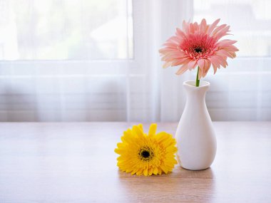 Masadaki vazoda güzel pembe Gerbera Jamesonii papatya çiçeği, Barberton Transvaal papatya kopya alanı ahşap masa masasının üzerinde seramik harflerle yazılmış çiçek arkaplan ışığı kutlaması için.