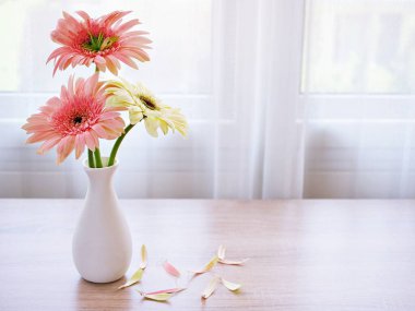 Masadaki vazoda güzel pembe Gerbera Jamesonii papatya çiçeği, Barberton Transvaal papatya kopya alanı ahşap masa masasının üzerinde seramik harflerle yazılmış çiçek arkaplan ışığı kutlaması için.