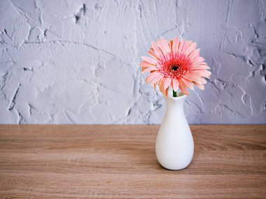 Masadaki vazoda güzel pembe Gerbera jamesonii papatya çiçeği, Barberton Transvaal papatya kopya alanı tahta masa desenli çimento duvar kağıdı seramik çiçek, ürün arka planı 