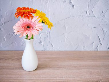 Masadaki vazoda güzel pembe Gerbera jamesonii papatya çiçeği, Barberton Transvaal papatya kopya alanı tahta masa desenli çimento duvar kağıdı seramik çiçek, ürün arka planı 