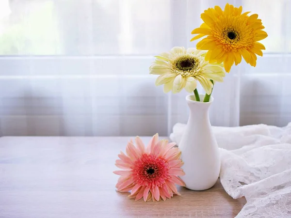 Vacker Gerbera Jamesonii Tusensköna Blomma Vas Bordet Barberton Transvaal Tusensköna — Stockfoto