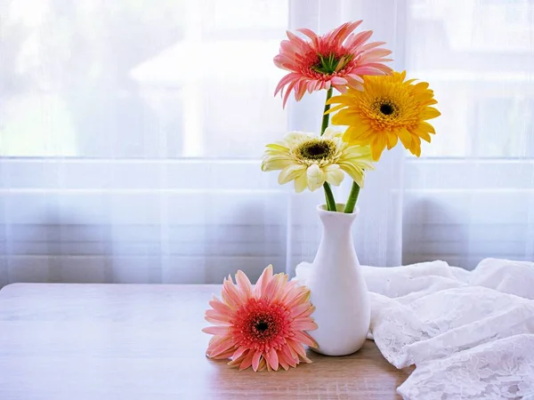 Bella Rosa Gerbera Jamesonii Fiore Margherita Vaso Sul Tavolo Barberton — Foto Stock