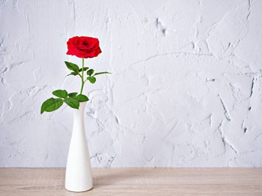 Ahşap masadaki beyaz vazoda kırmızı gül yazı için yeşil yaprak kopyalama alanı ya da tahta masadaki seramik çiçek, desen çimento arka plan ya da duvar kağıdı, yaratıcı kutlama kartı 