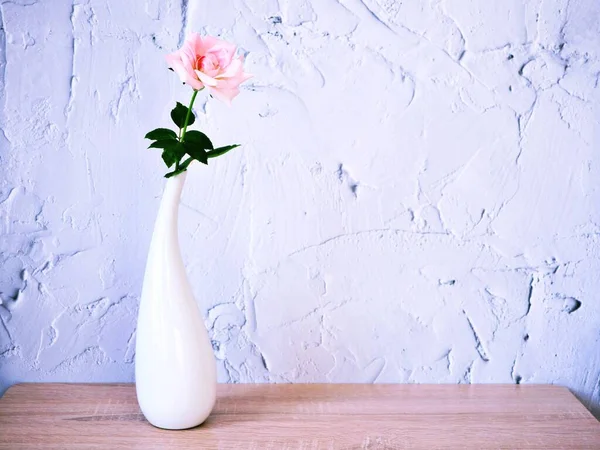 Rózsaszín Rózsa Fehér Váza Asztalon Gyönyörű Pasztell Rózsaszín Másolási Hely — Stock Fotó