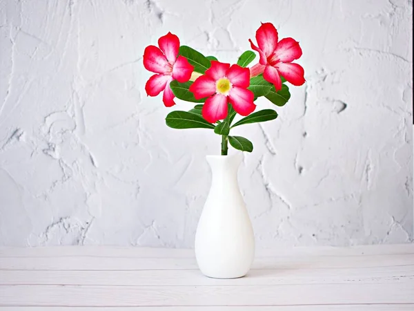 Red pink flower in vase on table ,pink flower desert rose Adenium obesum ,mock azalea ,impala lily ,sabi star ,arabicum ,Apocynaceae with white cement texture background and white embroidered cloth