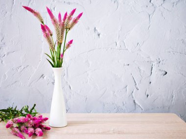 Pink flowers in vase on table with white cement wall texture background or wallpaper, copy space Celosia argentea L. Plumed Cockscomb ,Chinese Medicine Kurdu Amaranthaceae Troublesome Widespread Weed 