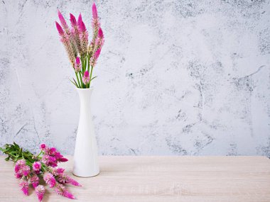 Pink flowers in vase on table with white cement wall texture background or wallpaper, copy space Celosia argentea L. Plumed Cockscomb ,Chinese Medicine Kurdu Amaranthaceae Troublesome Widespread Weed 