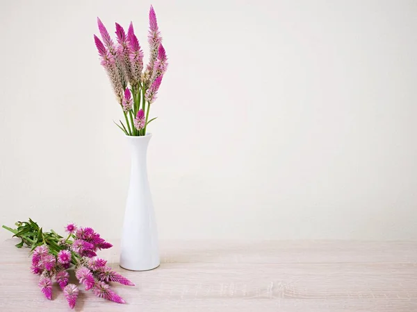 Pink flowers in vase on table with white cement wall texture background or wallpaper, copy space Celosia argentea L. Plumed Cockscomb ,Chinese Medicine Kurdu Amaranthaceae Troublesome Widespread Weed