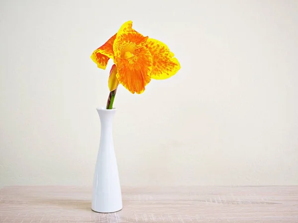 Yellow Flower Vase Table Still Life Background Wallpaper Text Letter — Stok fotoğraf