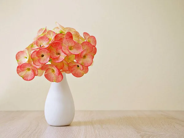 Virágcsokor Cserépben Asztalon Töviskorona Sötét Rózsaszín Krisztus Növény Euphoria Milii — Stock Fotó