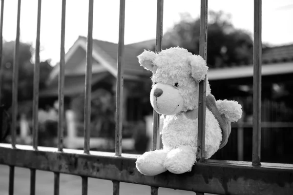 Teddy Urso Sentado Cerca Meio Imagem Preto Branco Cartão Cartaz — Fotografia de Stock