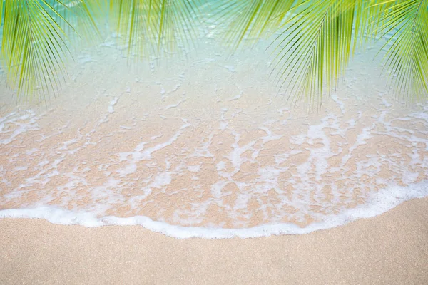 Sand Beach Leaves Palm Coconut Soft Wave Coast Blue Sea — Stock Photo, Image