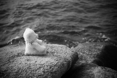 Yalnız Oyuncak Ayı 'nın siyah ve beyaz bebeği sahilde taşın üzerinde oturuyor. Yalnız, üzgün, kalbi kırık ya da uluslararası kayıp çocuklar günü konsepti.