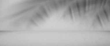 Arkaplan boş gri beton duvar arka planı ve gölge palmiye yaprakları. Boş masa stüdyoları zemin beton inşaatı. metin ya da ürün sunumu için boş alanı göster.