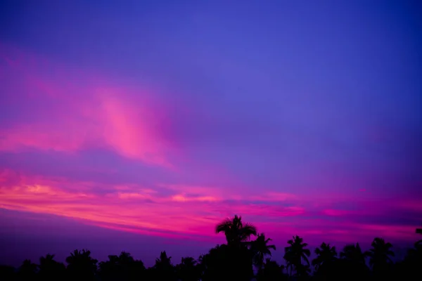 Ciel Soir Crépuscule Dramatique Coucher Soleil Rose Bleu Avec Silhouette — Photo