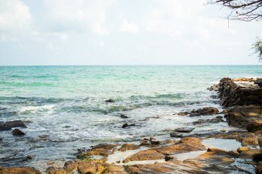 Kıyısında bulanık ağaç olan mavi deniz ve taş. Okyanus kıyısı doğa manzarası arka planı. Tatil konseptinde turist seyahati..