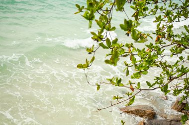 Yeşil ağaçlı mavi deniz ve taş ve dağ, mavi gökyüzü. Doğa manzarası arka planına bak. Turist tatili tropikal yaz tatili konsepti. Pattaya Tayland 'daki Koh Larn Adası.