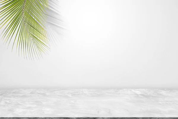 Hintergrund Leer Graue Zementwand Raumhintergrund Mit Schatten Und Palmblättern Leere — Stockfoto