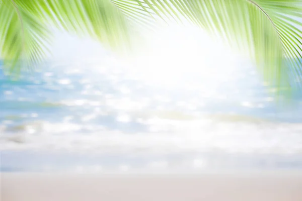 Blur Sand Beach Palm Leaves Blue Sea Blue Sky White — Stock Photo, Image