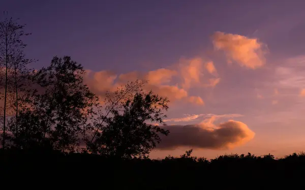 Solnedgång Berg Och Skog Med Rosa Himmel Bakgrund Vacker Kväll — Stockfoto