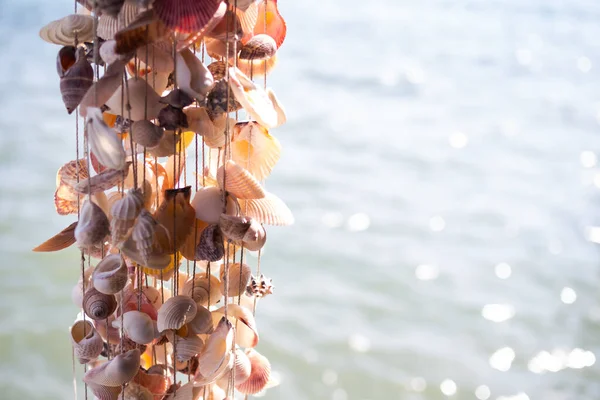 Muschel Muschel Auf Blauem Meer Und Bokeh Mit Sonnenschein Tag — Stockfoto