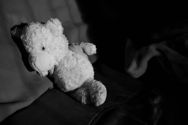 Teddy bear sleep on bed.black and white image. poster card for broken heart couple, sad, lonely, international missing Children, strong, gloomy day. alone unwanted cute doll lots.