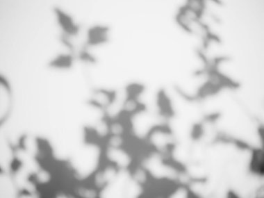 Bulanık çimento gölgesi arka planda kalır. Eski pürüzlü yüzey dokusu koyu siyah beyaz zemin taşı. Kirli desenli zemin duvarı ve duvar kâğıdının içindeki yumuşak ışık malzemesi. Çatı katı zemin