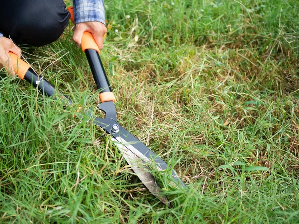Hand Farmer Holding Lawn Scissors Cut Grass Garden Woman Mowing — Stok Foto