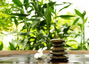 Stack Stone with Frangipani, Plumeria on tree background.Pyramid Rock Cairn. Pebble SPiritual,Stability,Calm,Meditation Growth Symbols.Pile Zen Design Smooth for Relaxation Nature Aroma therapy Spa.