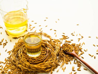 Rice Bran Oil in Glass with seed rice on white background.Organic vegetable oil pure Homemade and not processed.Raw food ingredient Cooking natural for Good Health.low calories and antioxidant.